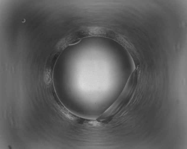 X0000083640478200702121129
