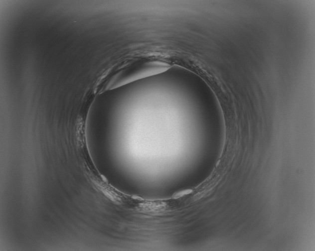 X0000083640480200702121129