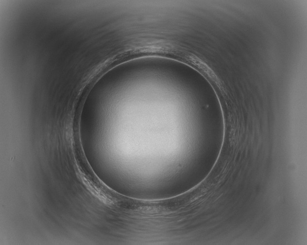 X0000083640482200702121128