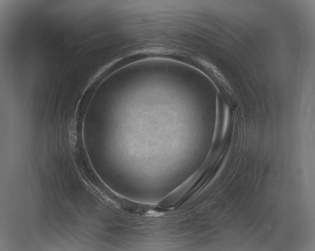 X0000083640484200702121128