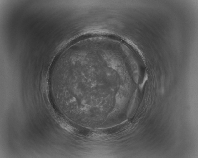 X0000083640487200702121128