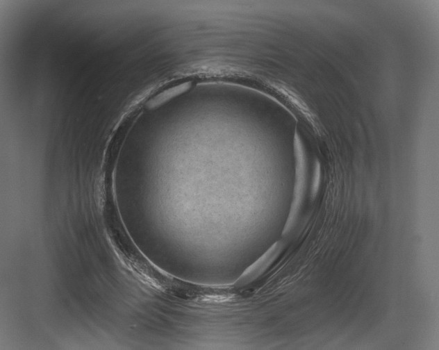 X0000083640488200702121128