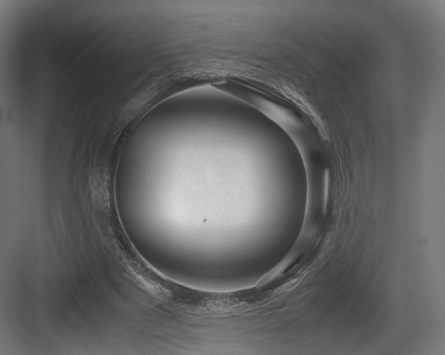 X0000083640489200702121128