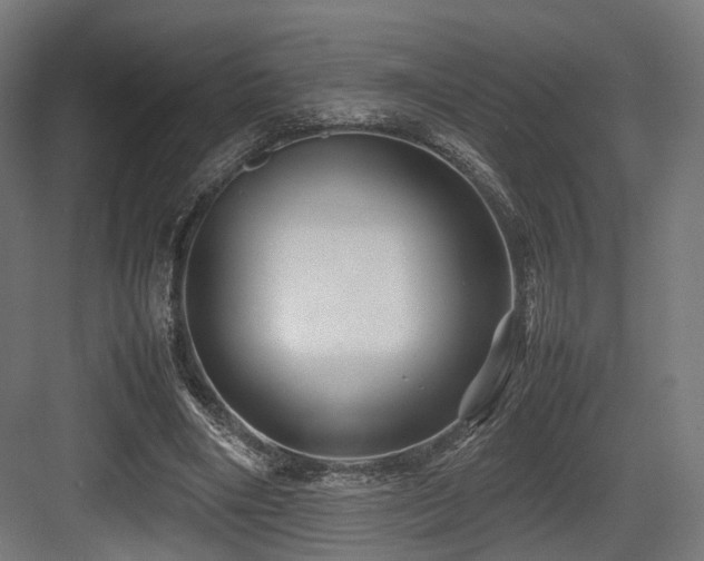 X0000083640490200702121128
