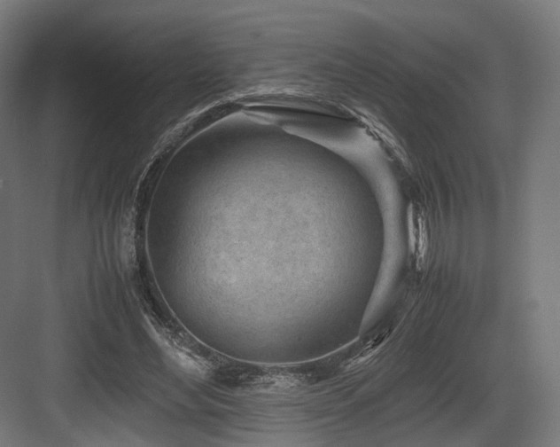 X0000083640492200702121128