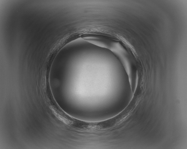 X0000083640493200702121128