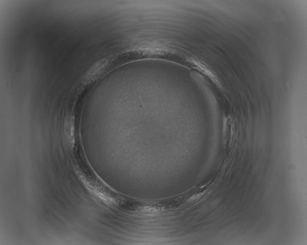 X0000083640494200702121128