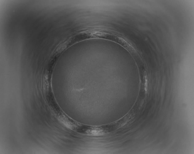 X0000083640506200702121127