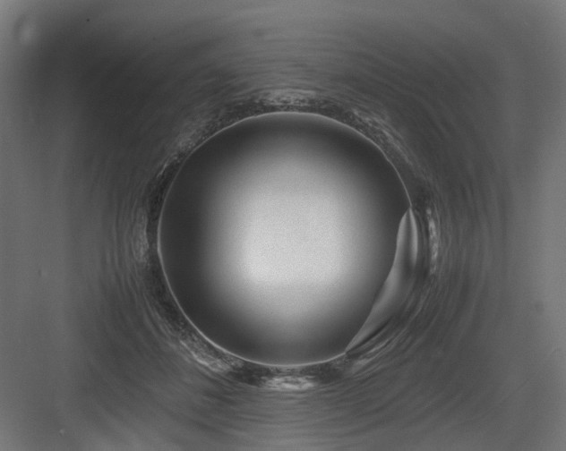 X0000083640508200702121127