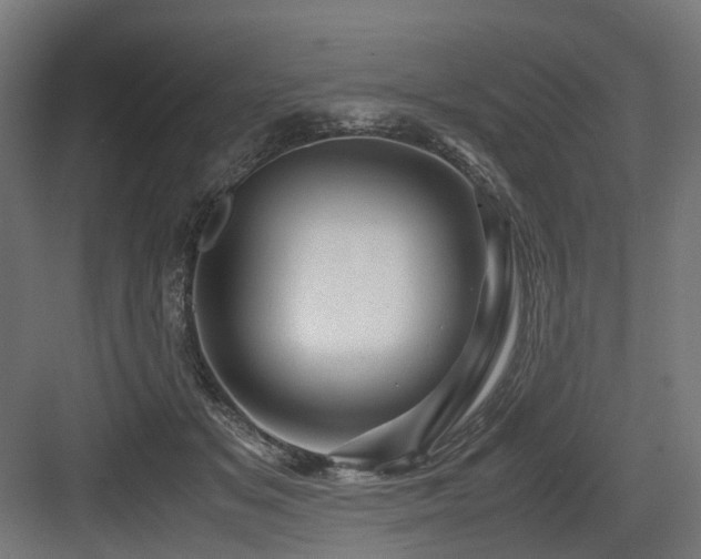 X0000083640509200702121127