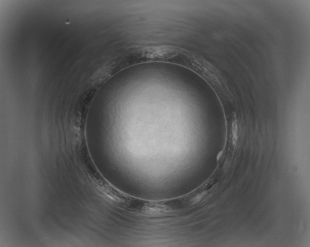 X0000083640510200702121127