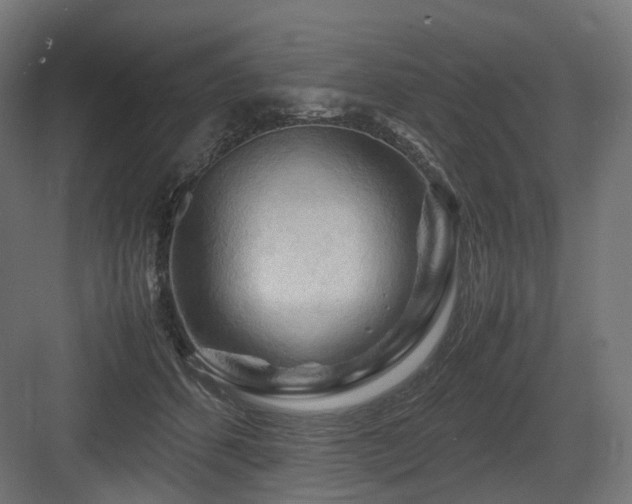 X0000083640512200702121127