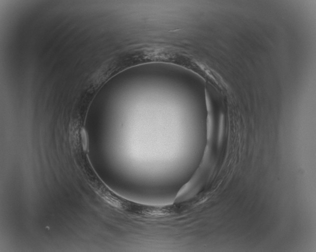 X0000083640513200702121127