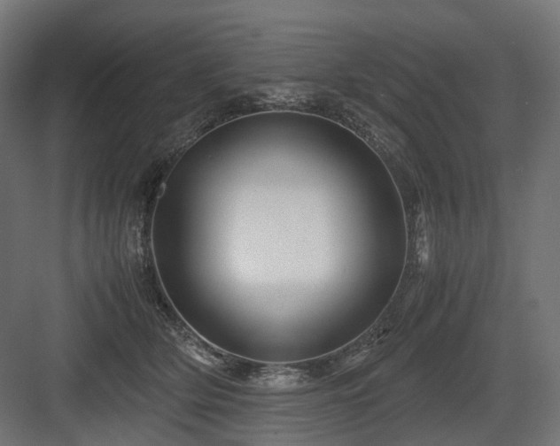 X0000083640514200702121127
