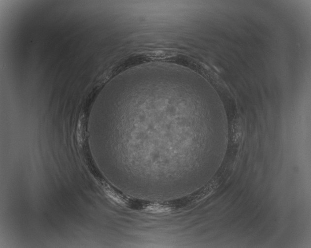 X0000083640515200702121127