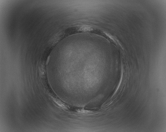 X0000083640517200702121127