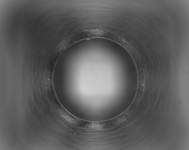 X0000083640518200702121127