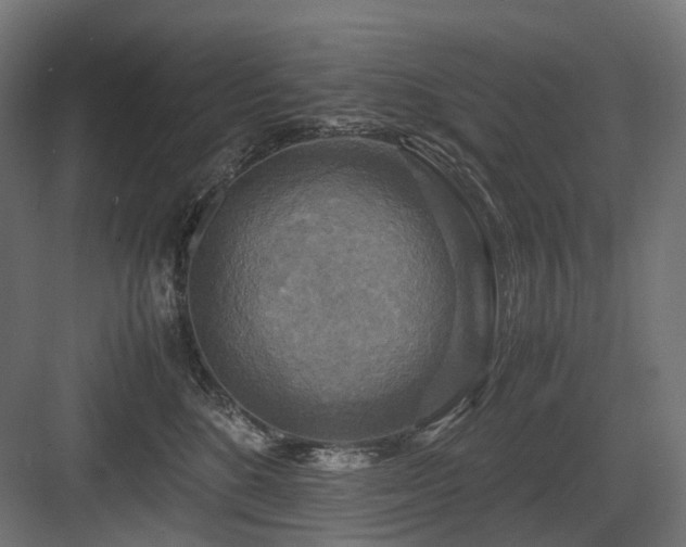 X0000083640520200702121127