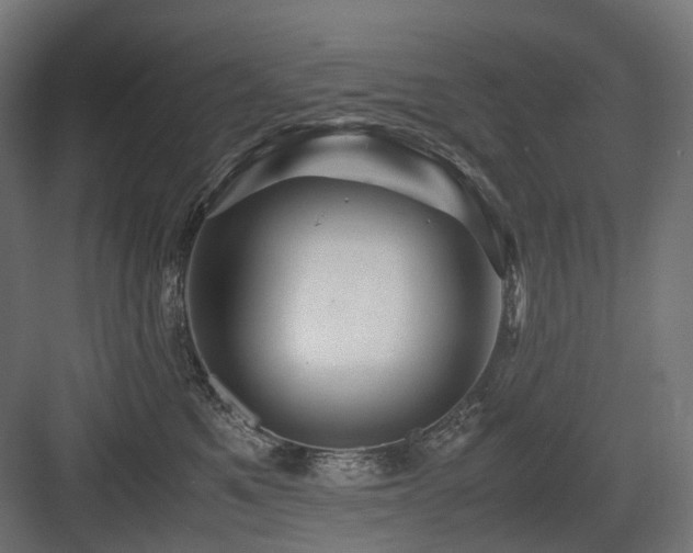 X0000083640521200702121127