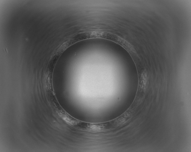 X0000083640522200702121127