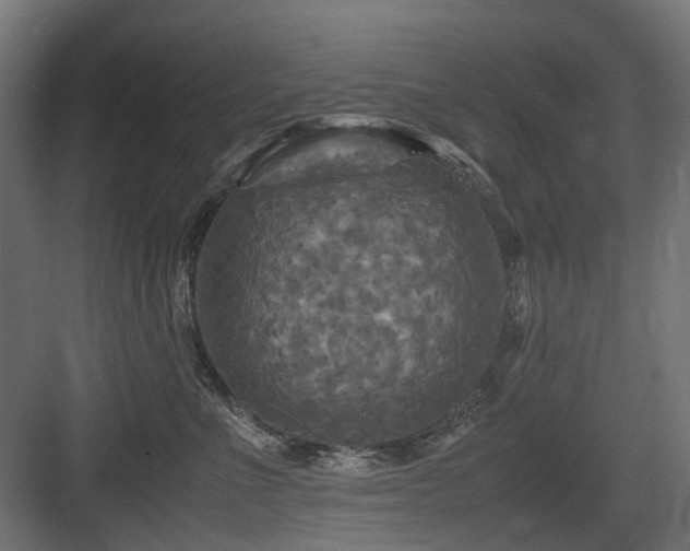 X0000083640523200702121127