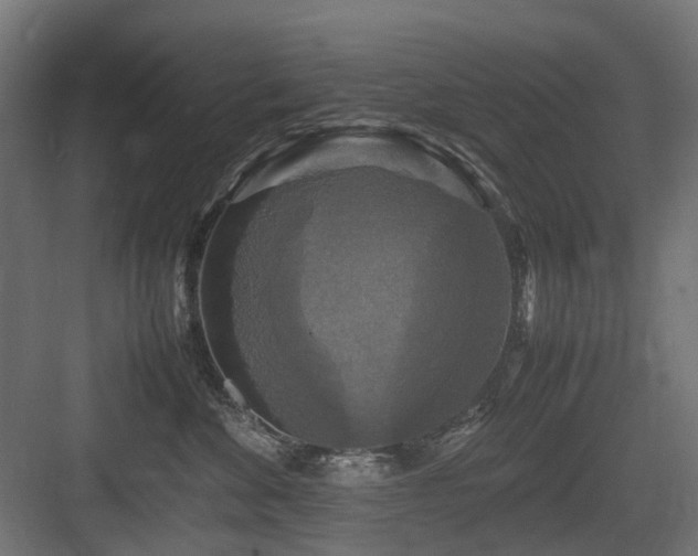 X0000083640524200702121127