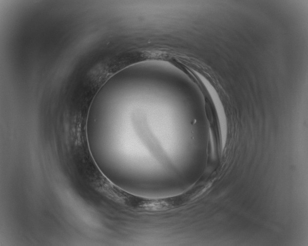 X0000083640525200702121127