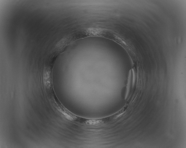 X0000083640526200702121127