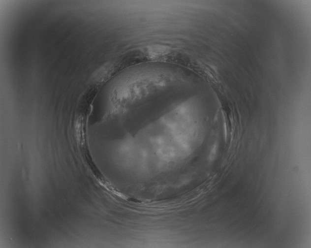X0000083640527200702121127