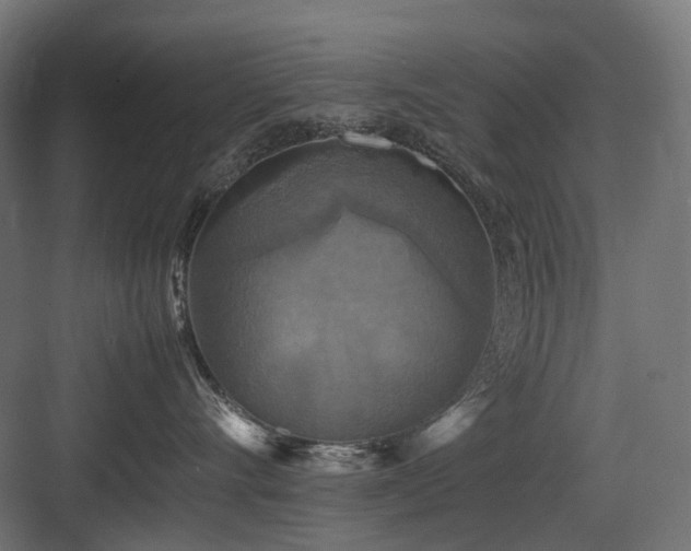 X0000083640528200702121127