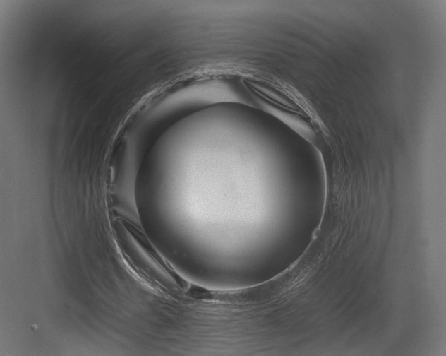 X0000083640530200702121126