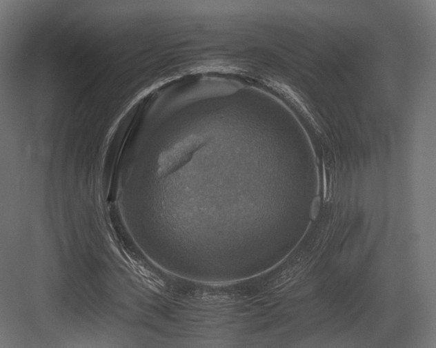 X0000083640531200702121126