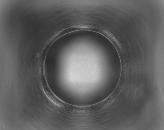 X0000083640533200702121126