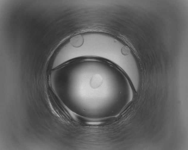 X0000083640534200702121126
