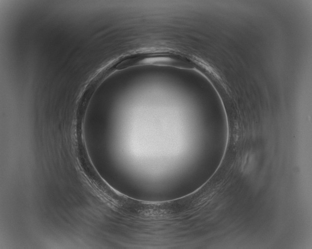 X0000083640535200702121126