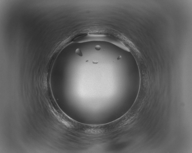 X0000083640537200702121126