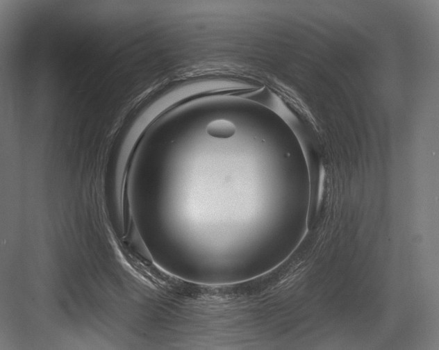 X0000083640538200702121126