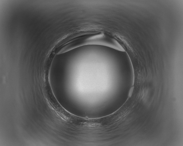 X0000083640539200702121126
