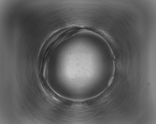 X0000083640540200702121126