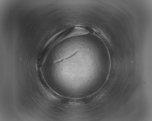 X0000083640545200702121126