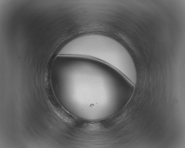 X0000083640548200702121127