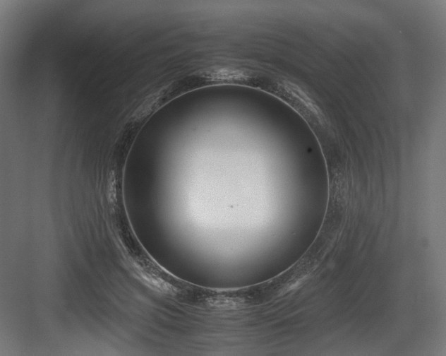 X0000083640549200702121127