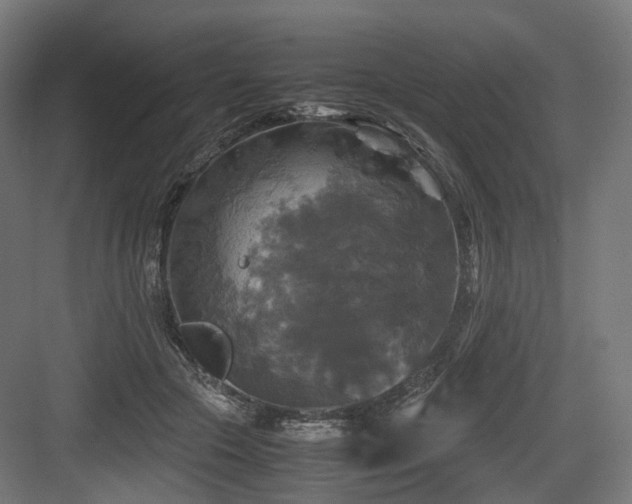 X0000083640553200702121127