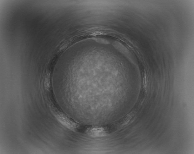 X0000083640554200702121127