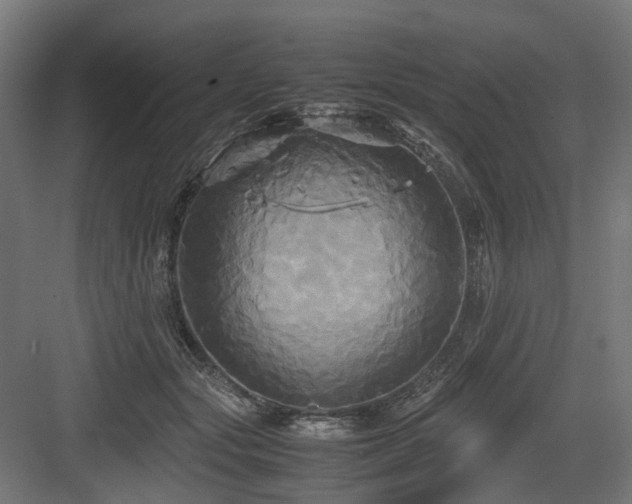 X0000083640557200702121127