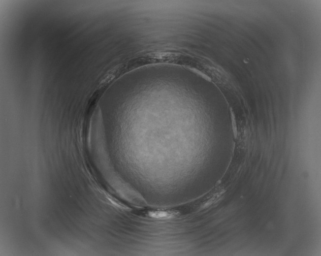 X0000083640558200702121127