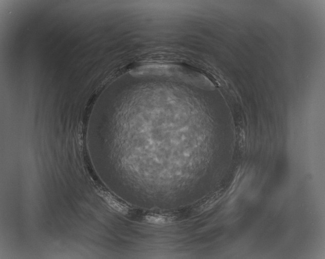 X0000083640561200702121127