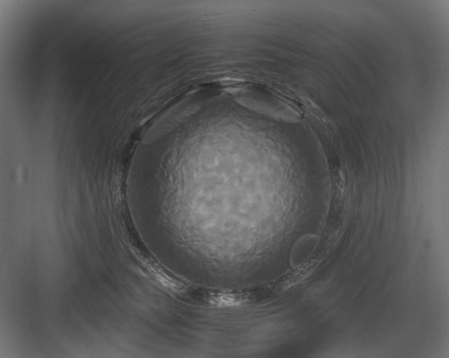 X0000083640565200702121127