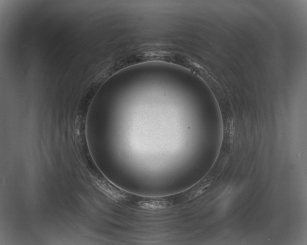 X0000083640567200702121127