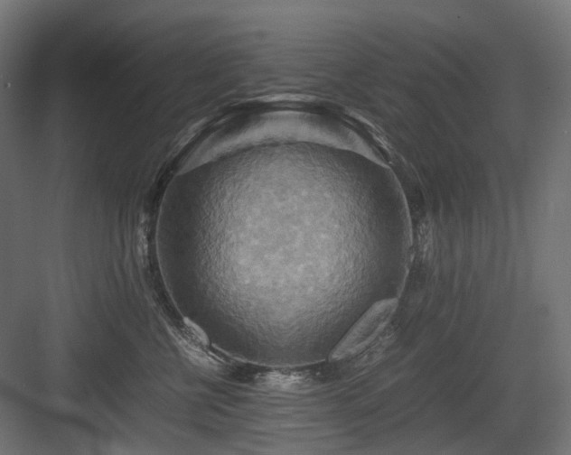 X0000083640570200702121127
